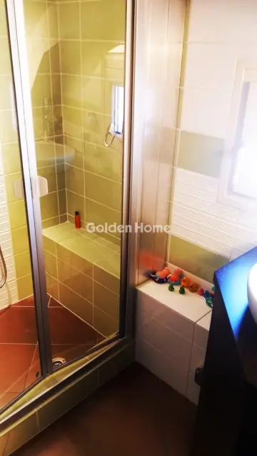 Μονοκατοικία 440τ.μ. προς πώληση φωτογραφία 313