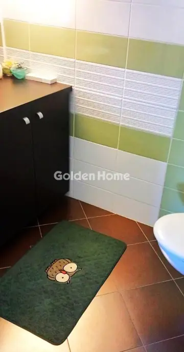 Μονοκατοικία 440τ.μ. προς πώληση φωτογραφία 311