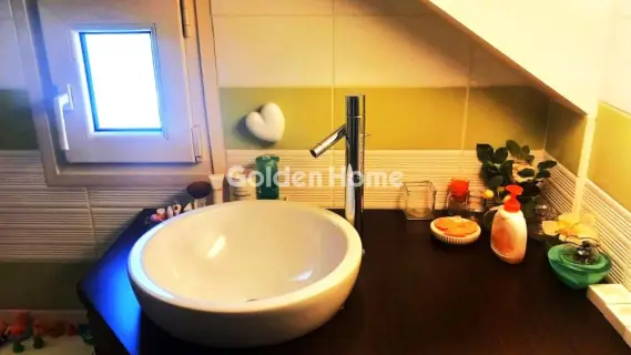 Μονοκατοικία 440τ.μ. προς πώληση φωτογραφία 312