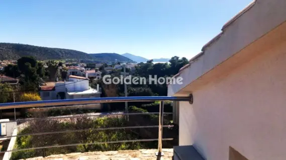 Μονοκατοικία 440τ.μ. προς πώληση φωτογραφία 315