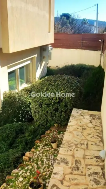 Μονοκατοικία 440τ.μ. προς πώληση φωτογραφία 331