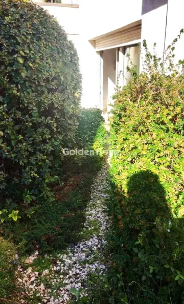 Μονοκατοικία 440τ.μ. προς πώληση φωτογραφία 332