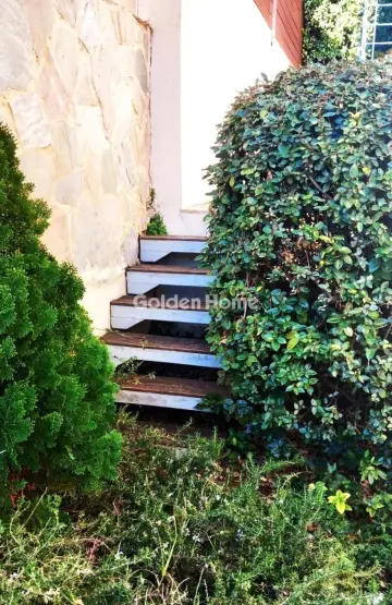 Μονοκατοικία 440τ.μ. προς πώληση φωτογραφία 329