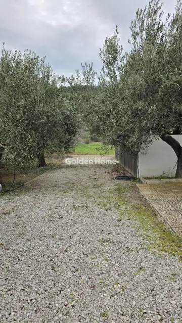 Μονοκατοικία 122τ.μ. προς πώληση φωτογραφία 2
