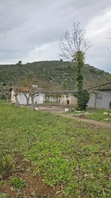 Μονοκατοικία 122τ.μ. προς πώληση φωτογραφία 69