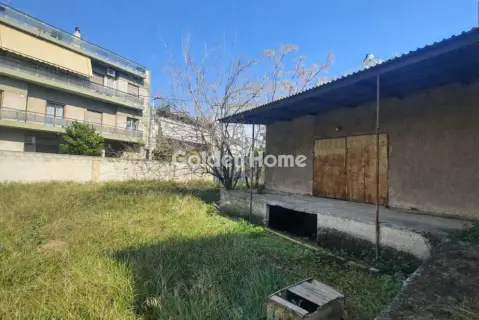 Residential 1155m<sup>2</sup> for rent photo 2