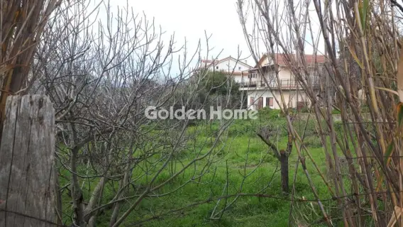 Residential 2700m<sup>2</sup> for sale photo 2