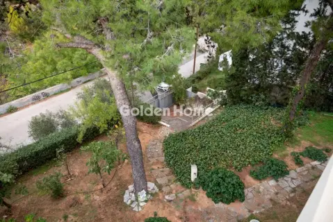 Μονοκατοικία 330τ.μ. προς πώληση φωτογραφία 29