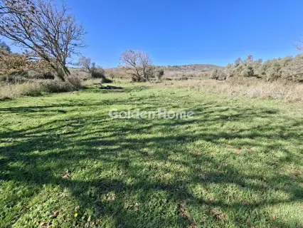 Residential 762m<sup>2</sup> for sale photo 4