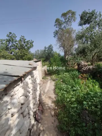 Αγροτεμάχιο 1000τ.μ. προς πώληση φωτογραφία 2