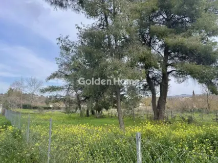 Οικιστικό 975τ.μ. προς πώληση φωτογραφία 2