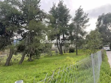 Οικιστικό 975τ.μ. προς πώληση φωτογραφία 1