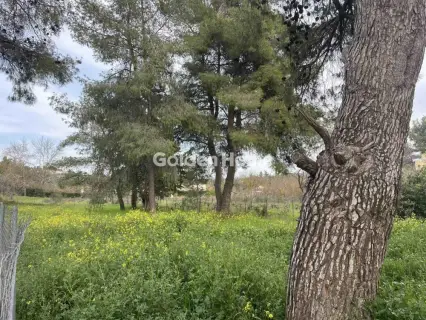 Οικιστικό 975τ.μ. προς πώληση φωτογραφία 6