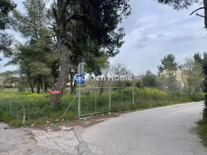 Οικιστικό 975τ.μ. προς πώληση φωτογραφία 8