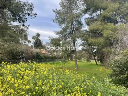 Οικιστικό 975τ.μ. προς πώληση φωτογραφία 10