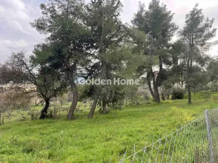 Οικιστικό 975τ.μ. προς πώληση φωτογραφία 11