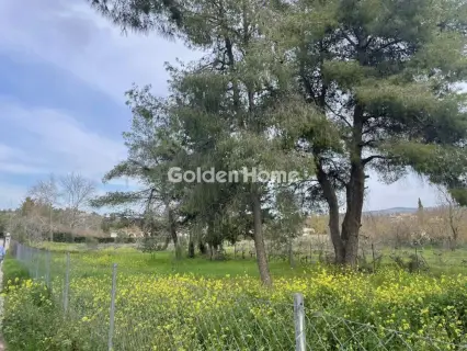 Οικιστικό 975τ.μ. προς πώληση φωτογραφία 14