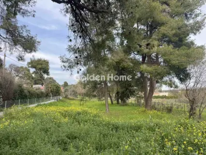 Οικιστικό 975τ.μ. προς πώληση φωτογραφία 15