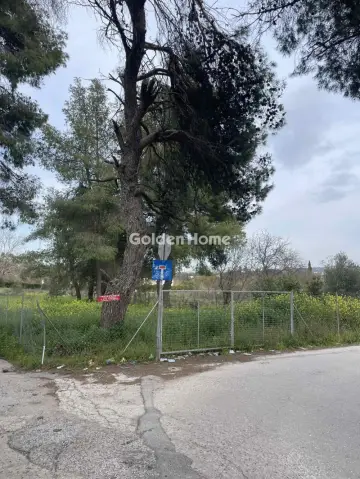 Οικιστικό 975τ.μ. προς πώληση φωτογραφία 16