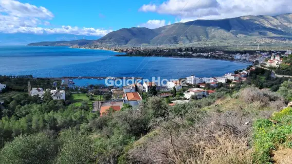 Golden Home Property Image