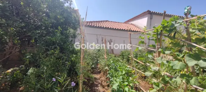 Golden Home Property Image