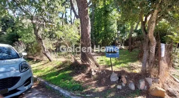 Residential 550m<sup>2</sup> for sale photo 2