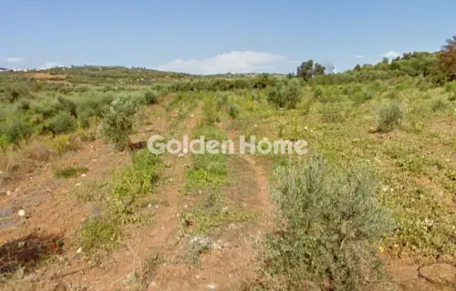 Residential 5215m<sup>2</sup> for sale photo 1