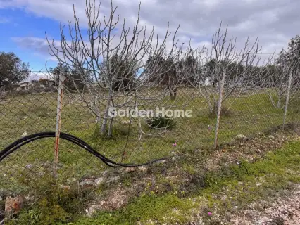 Parcel 3079m<sup>2</sup> for sale photo 5283948