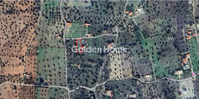 Golden Home Property Image