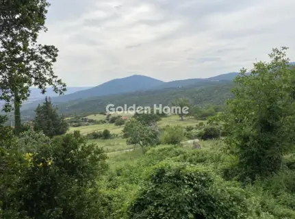 住宅 304m<sup>2</sup> for sale photo 5491293