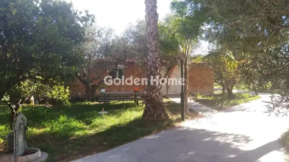 Golden Home Property Image