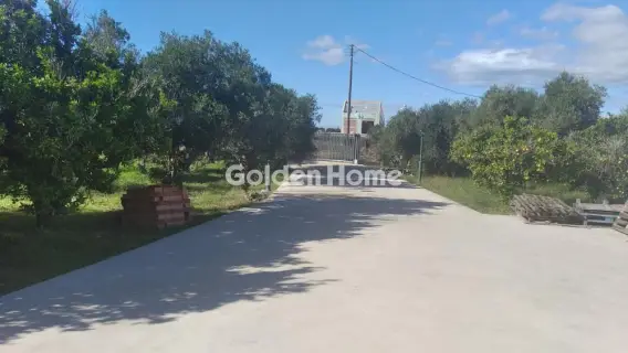 Golden Home Property Image