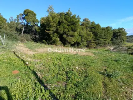 Residential 2800m<sup>2</sup> for sale photo 5271699