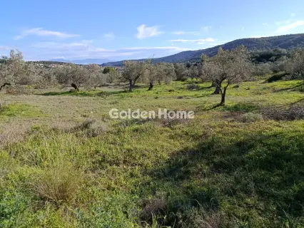 Residential 1900m<sup>2</sup> for sale photo 5271694