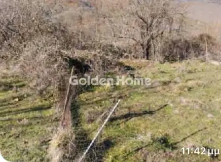 Μονοκατοικία 55τ.μ. προς πώληση φωτογραφία 3