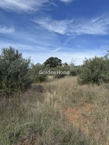 Έκταση 169τ.μ. προς πώληση φωτογραφία 1