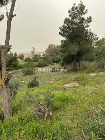 Residential 2810m<sup>2</sup> for sale photo 5