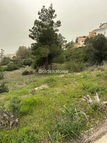 Residential 1405m<sup>2</sup> for sale photo 5277928