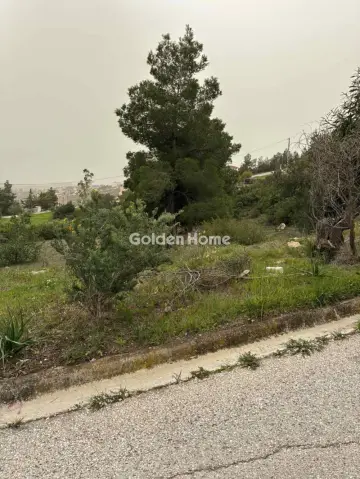 Residential 1405m<sup>2</sup> for sale photo 3