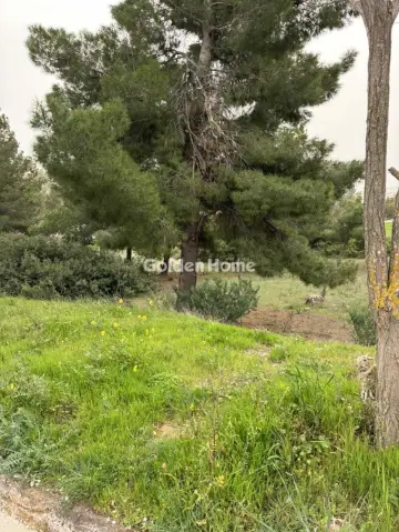 Residential 1405m<sup>2</sup> for sale photo 11