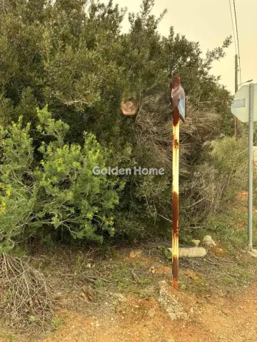 Residential 1405m<sup>2</sup> for sale photo 8