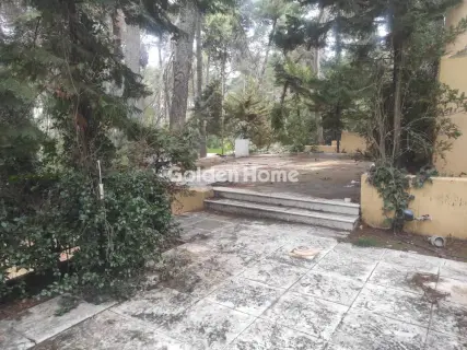 Μεζονέτα Εφαπτόμενη 850τ.μ. προς πώληση φωτογραφία 5