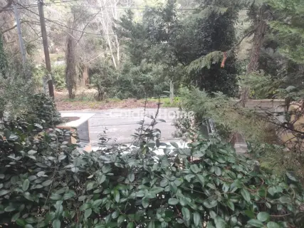 Μεζονέτα Εφαπτόμενη 850τ.μ. προς πώληση φωτογραφία 7