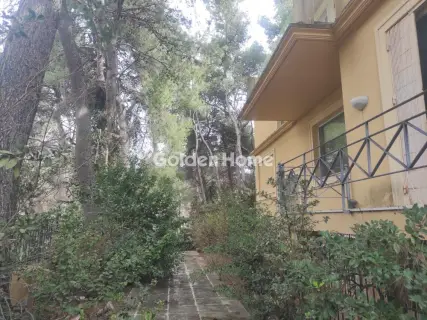 Μεζονέτα Εφαπτόμενη 850τ.μ. προς πώληση φωτογραφία 21