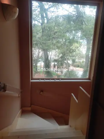 Μεζονέτα Εφαπτόμενη 850τ.μ. προς πώληση φωτογραφία 38