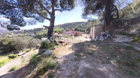 Golden Home Property Image