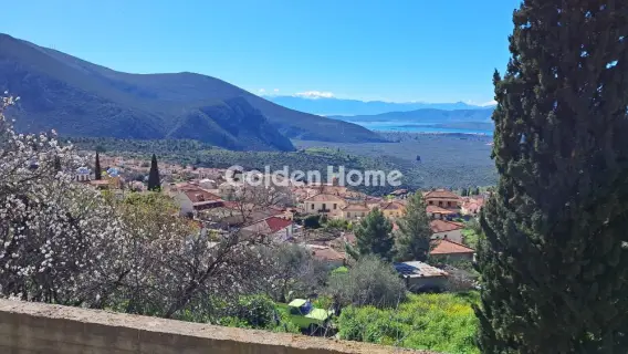 Golden Home Property Image
