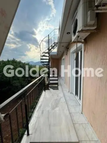 Residence complex 50m<sup>2</sup> for rent photo 5281247