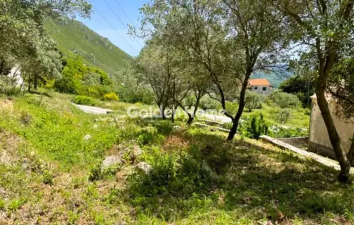 住宅 2550m<sup>2</sup> for sale photo 2