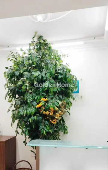 Office 58m<sup>2</sup> for sale photo 3